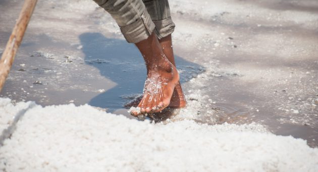 Salt Pan Walker,-Kutch