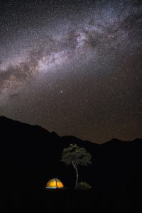 Tree, Tent and Milkyway, Ladakh