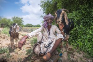 Portrait from the Kutch