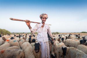 Portrait from the Kutch