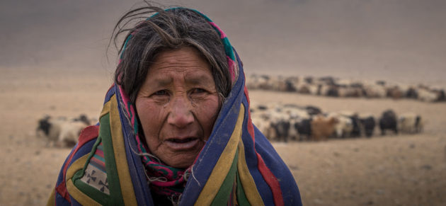 Frozen Tears Changpa Nomads, Ladakh