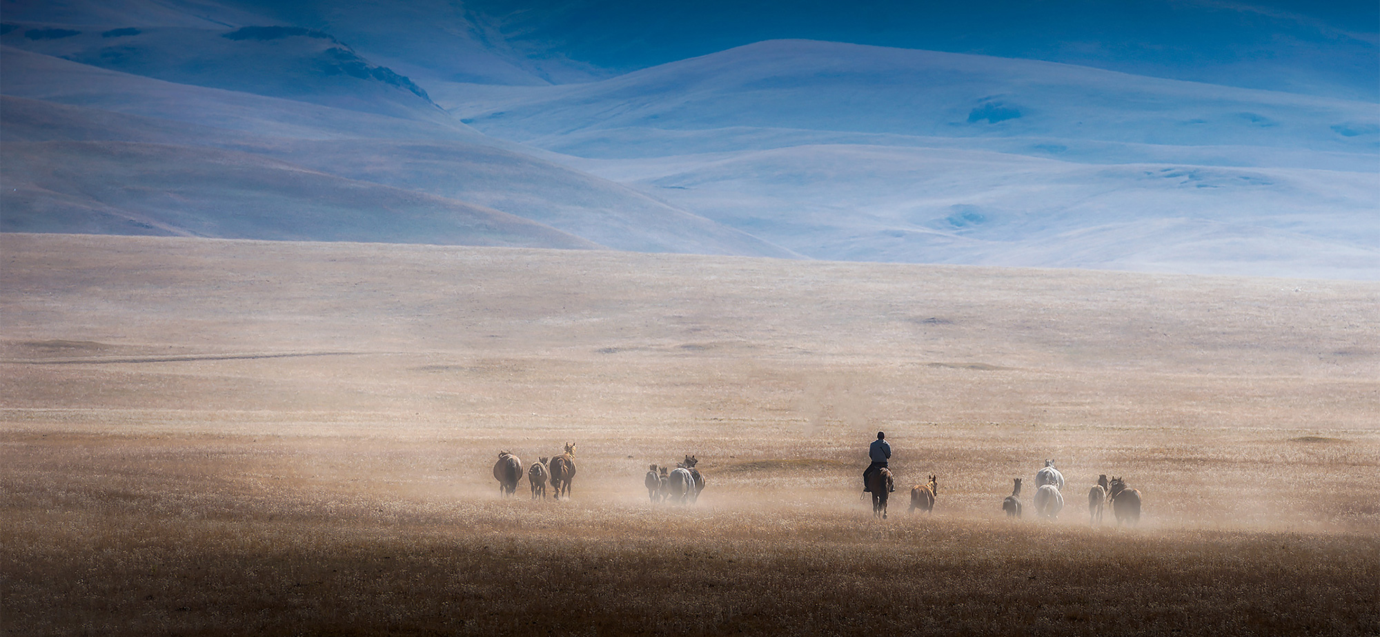 Kyrgyzstan Grassland and Horses