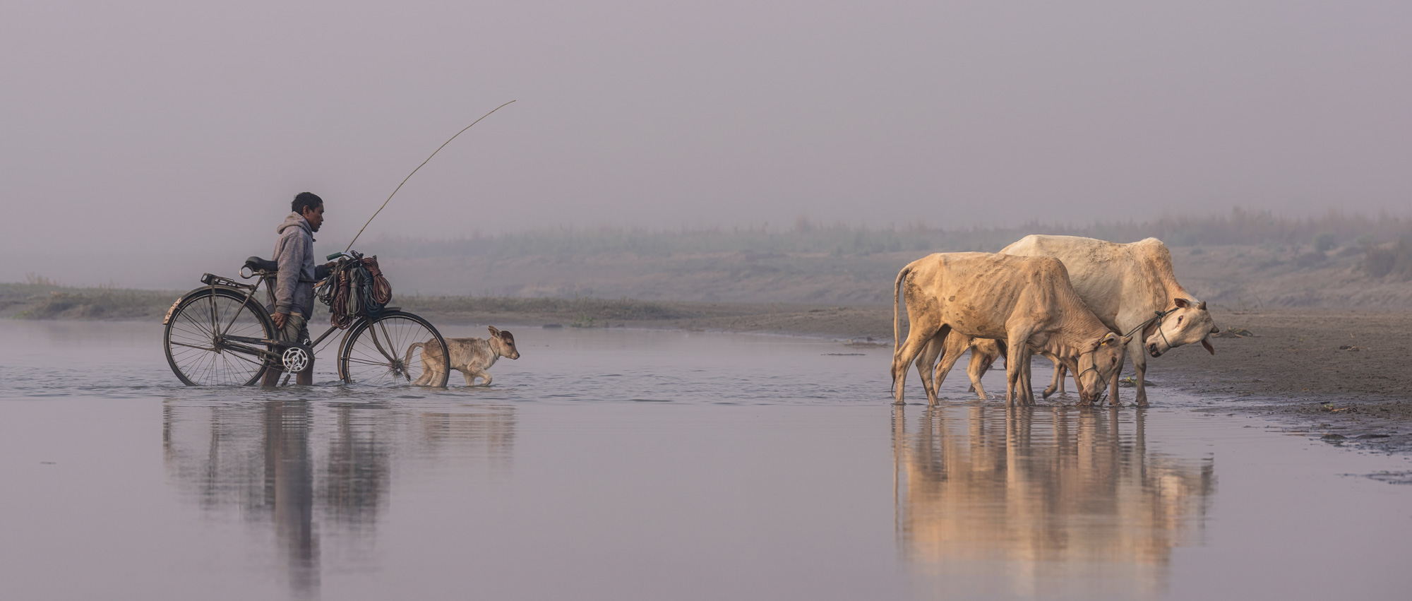 Life On River Brahmaputra Assam